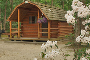 Cabin with Flowers in Foreground